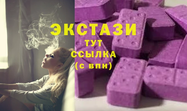 2c-b Ельня