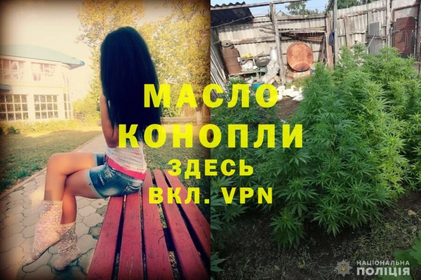 2c-b Ельня
