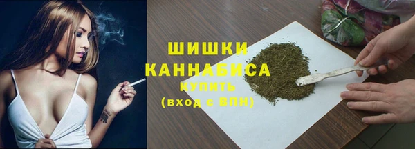 2c-b Ельня