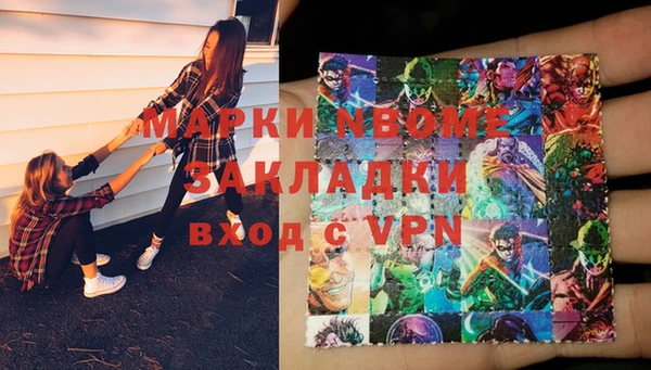 2c-b Ельня