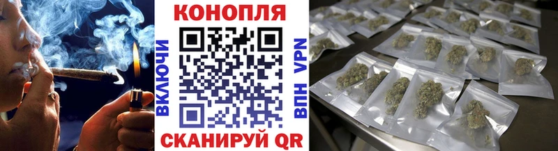 Купить где  Магас  Каннабис OG Kush 
